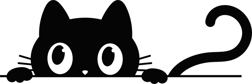 Black cat looking out the window.Funny peeking pet.